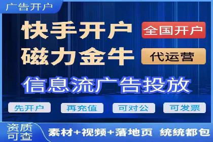 案例研究：百度竞价广告投放效果